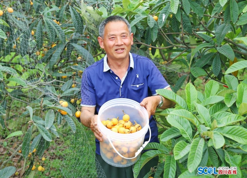 1651286400505097638.png 微信截图_20220430104123.png