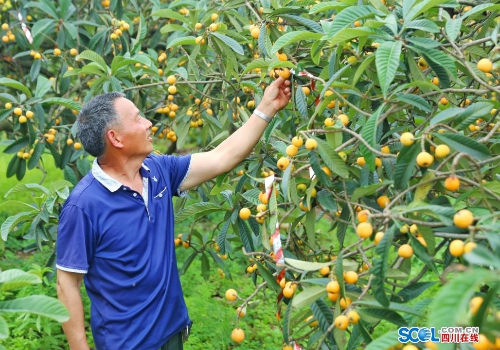 1651286413133002302.png 微信截图_20220430104216.png